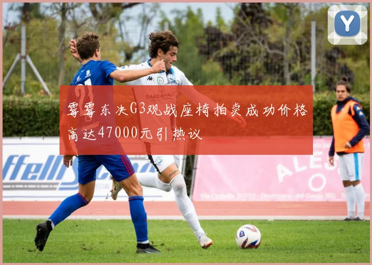 霉霉东决G3观战座椅拍卖成功价格高达47000元引热议