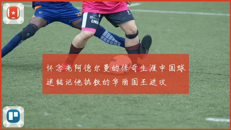怀念老阿德尔曼的传奇生涯中国球迷铭记他执教的华丽国王进攻