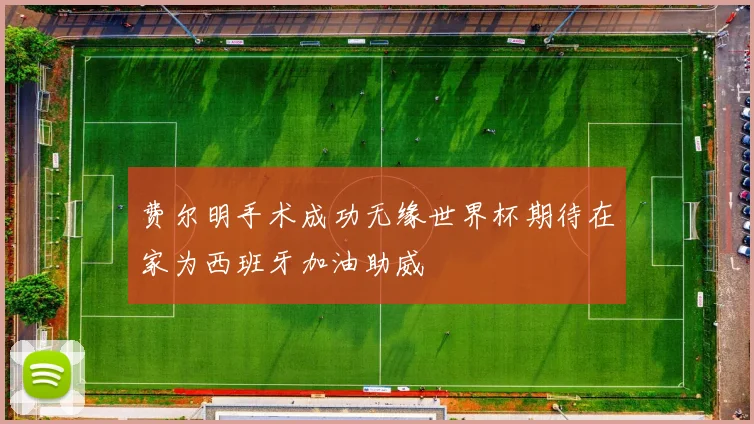 费尔明手术成功无缘世界杯期待在家为西班牙加油助威